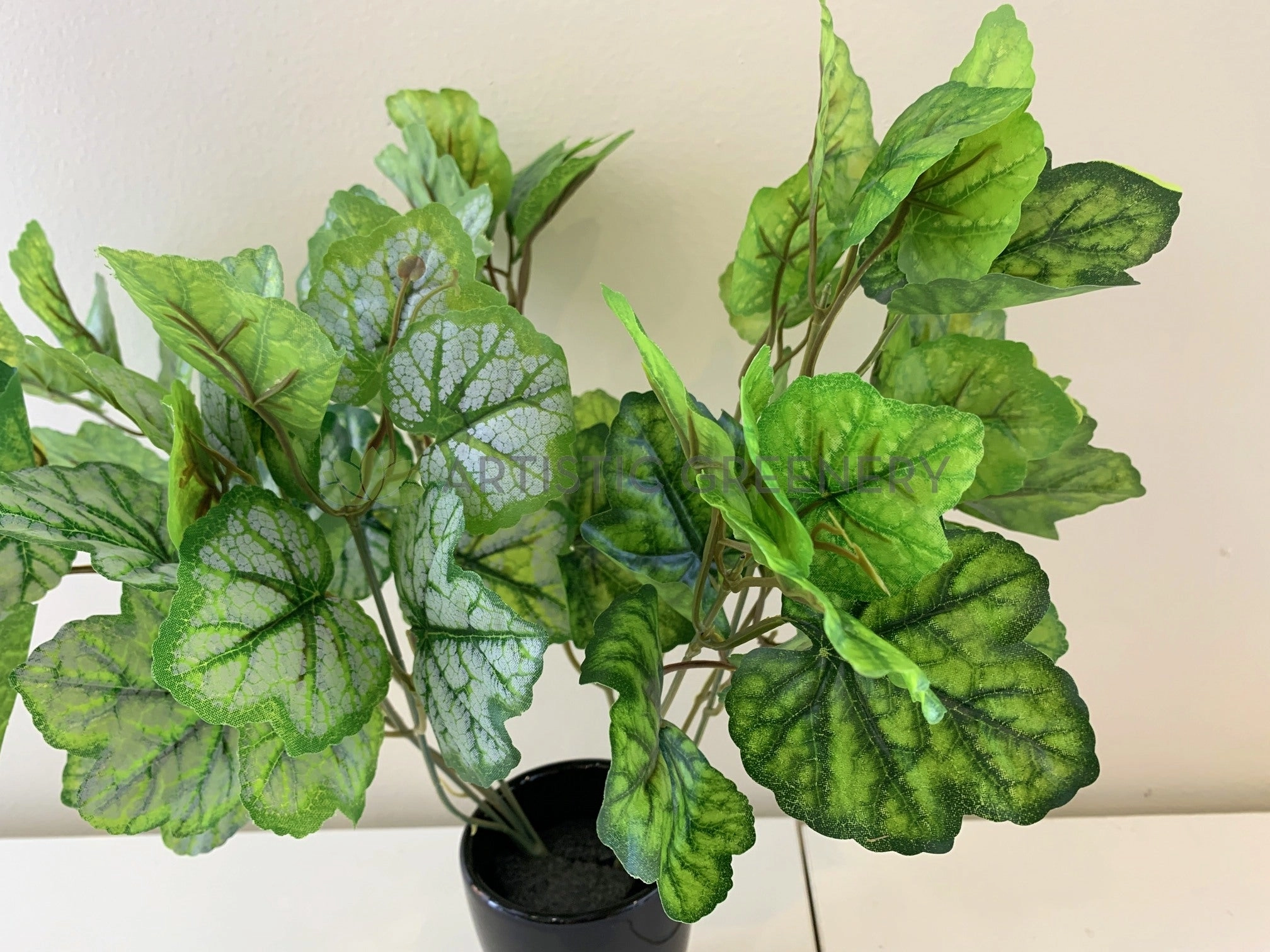SP0359 Calathea Plant 37cm 2 Styles