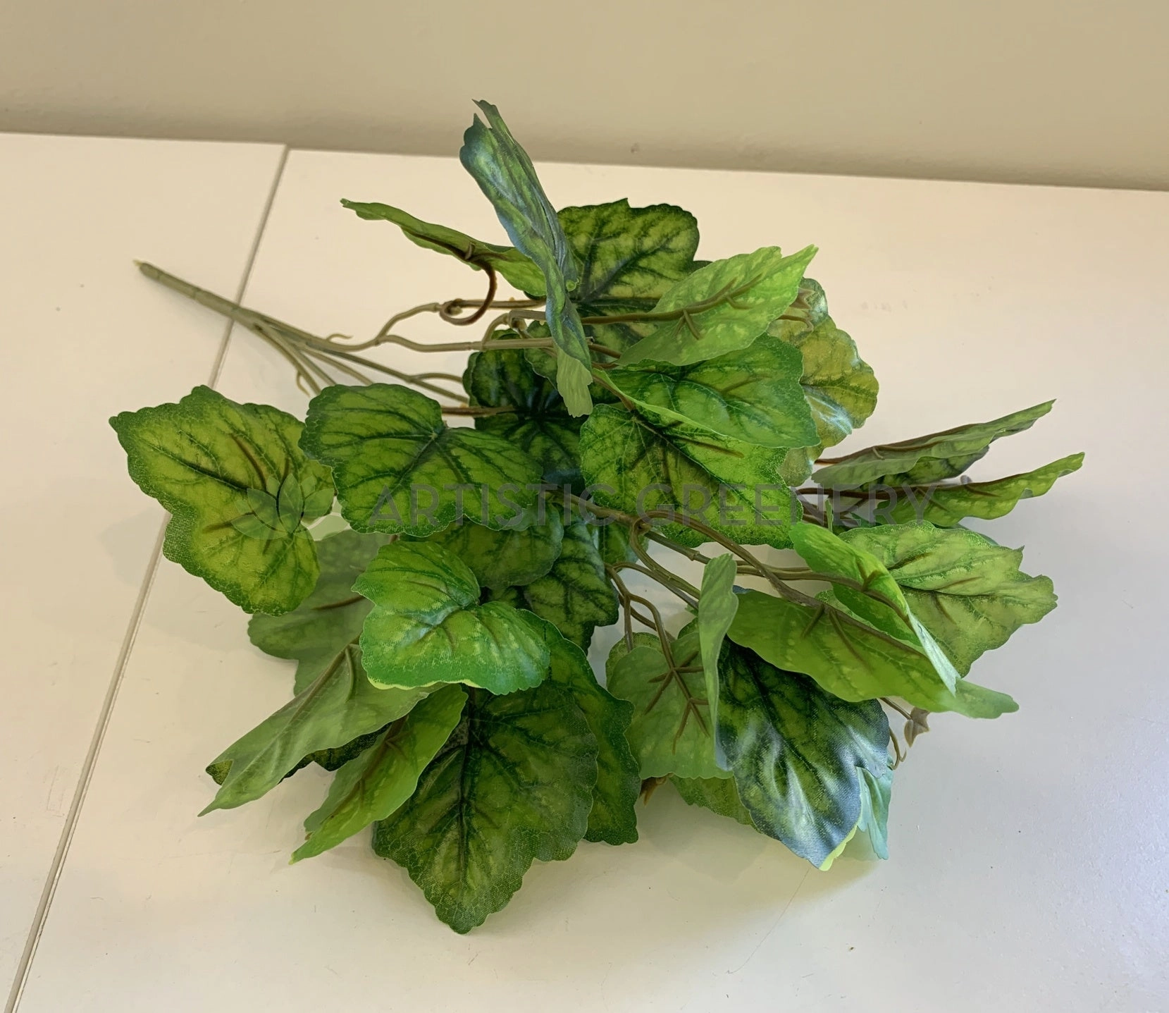 SP0359 Calathea Plant 37cm 2 Styles