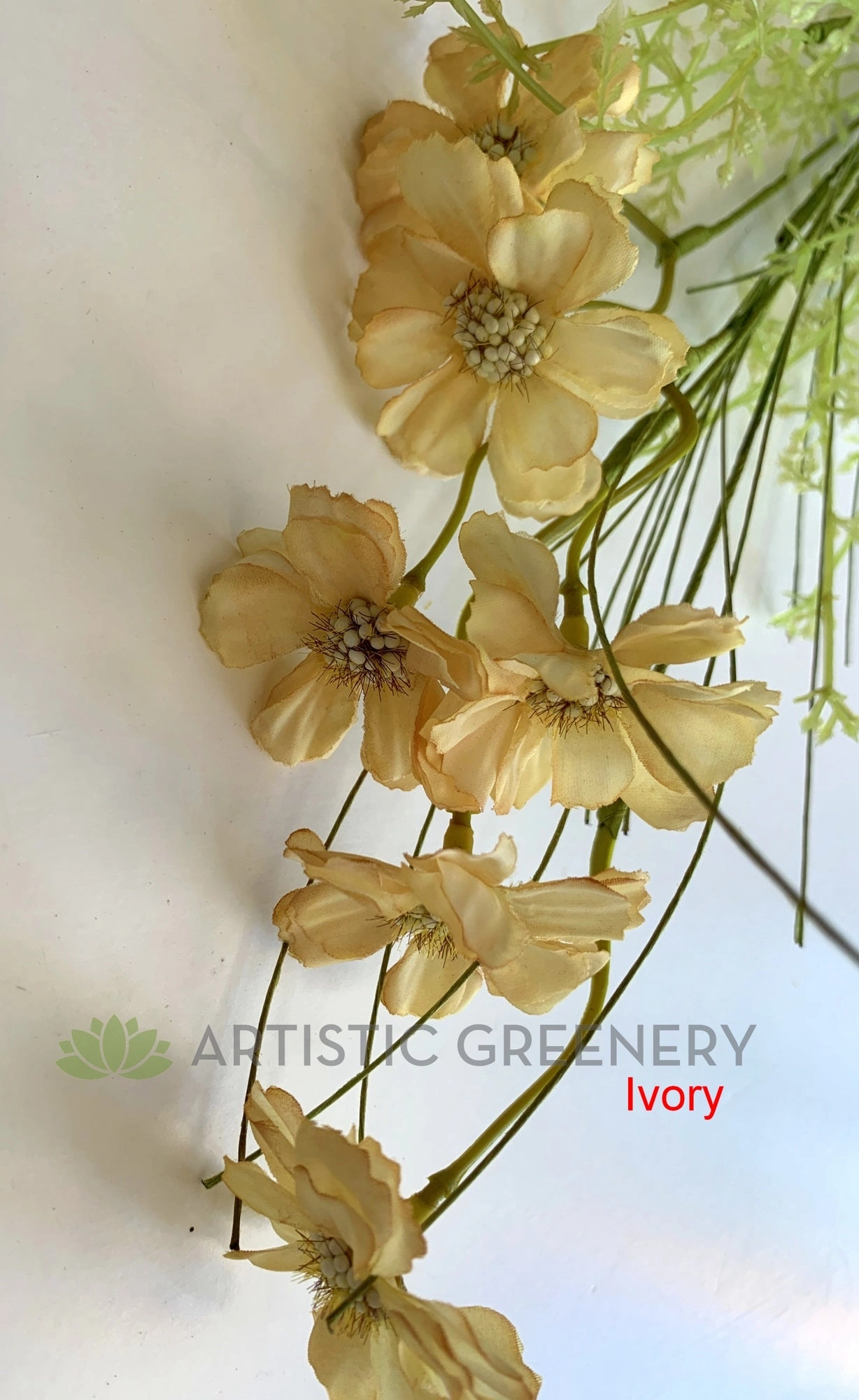 SP0361 Dried-Look Flower - Cosmos 58cm 5 Colours