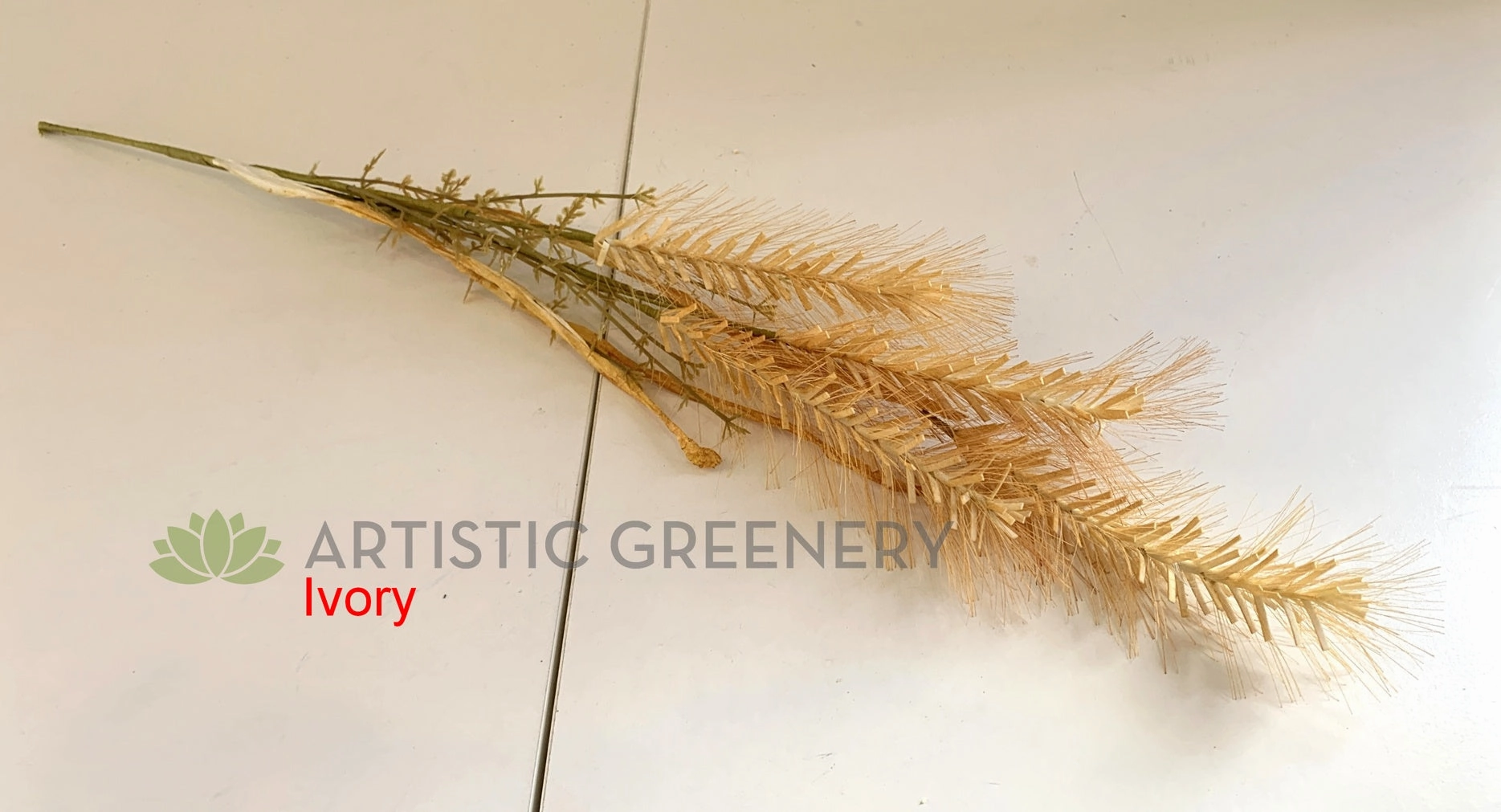 SP0363 Dried-Look Flower - Wheat 63cm 4 Colours