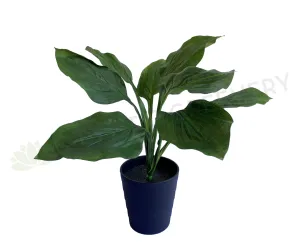 SP0383 Green Pothos Bunch 47cm dried green plant  