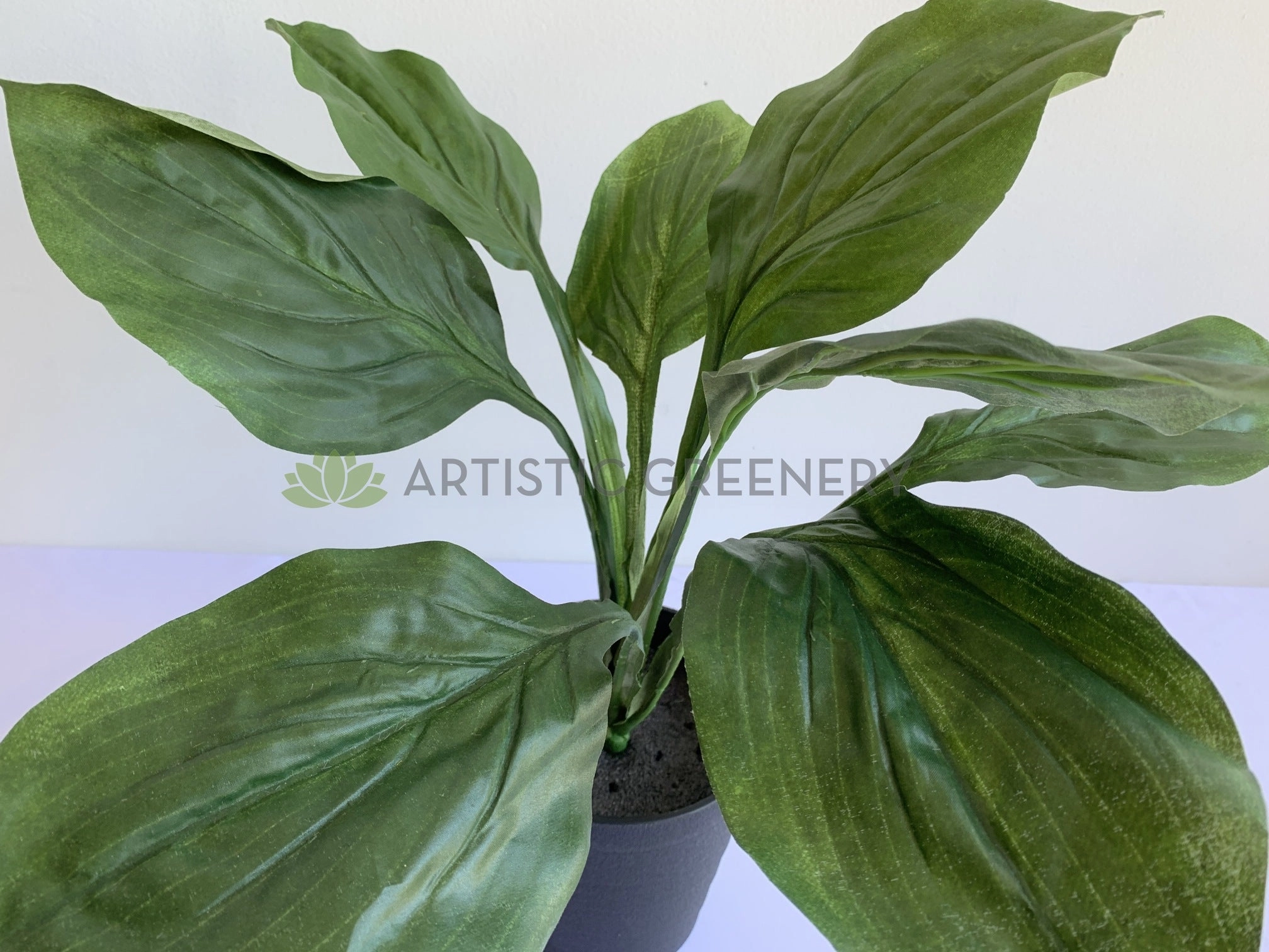 SP0383 Green Pothos Bunch 47cm