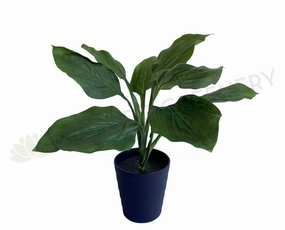 SP0383 Green Pothos Bunch 47cm indoor plant stand  