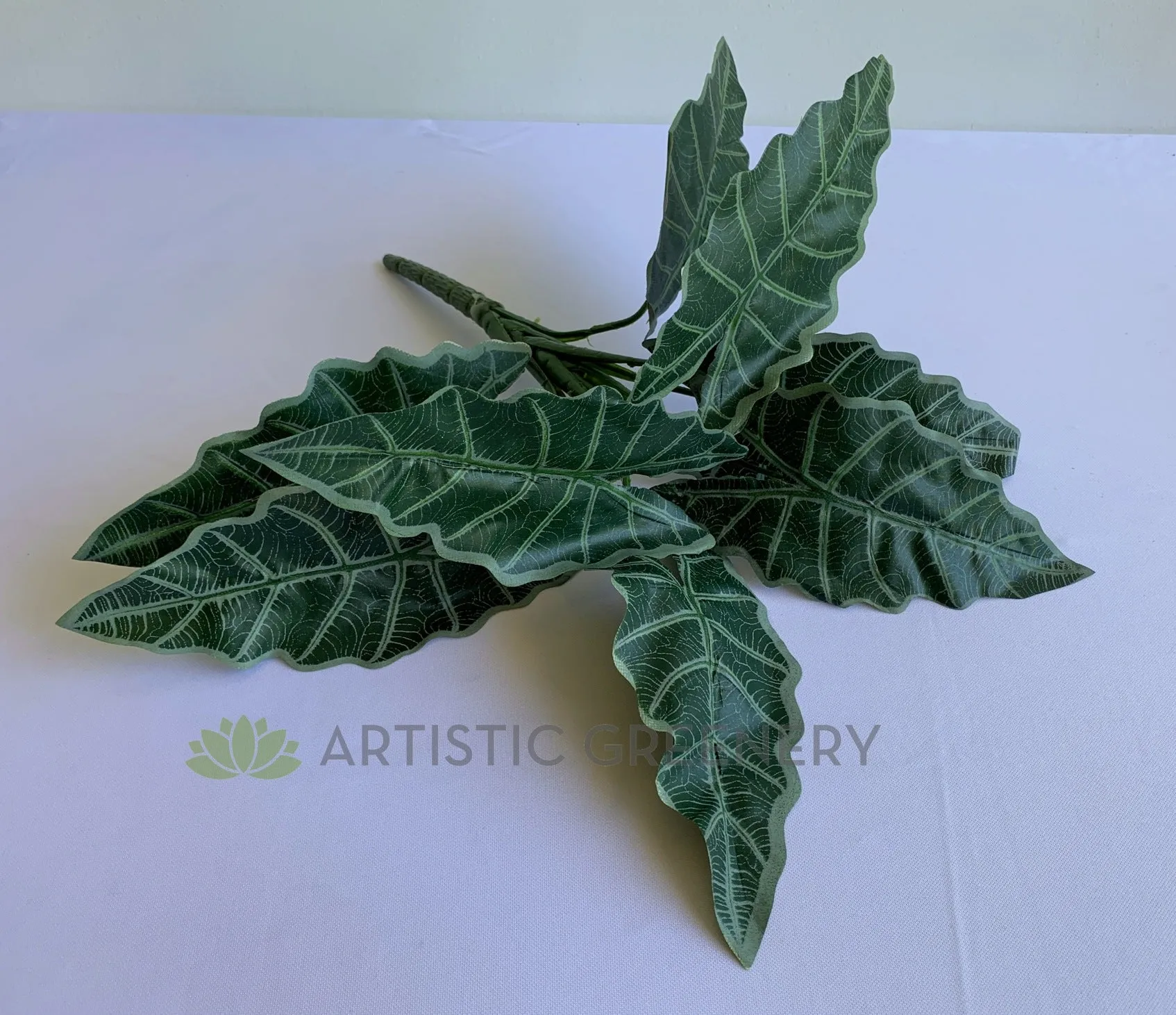 SP0384 Caladium Plant 47cm