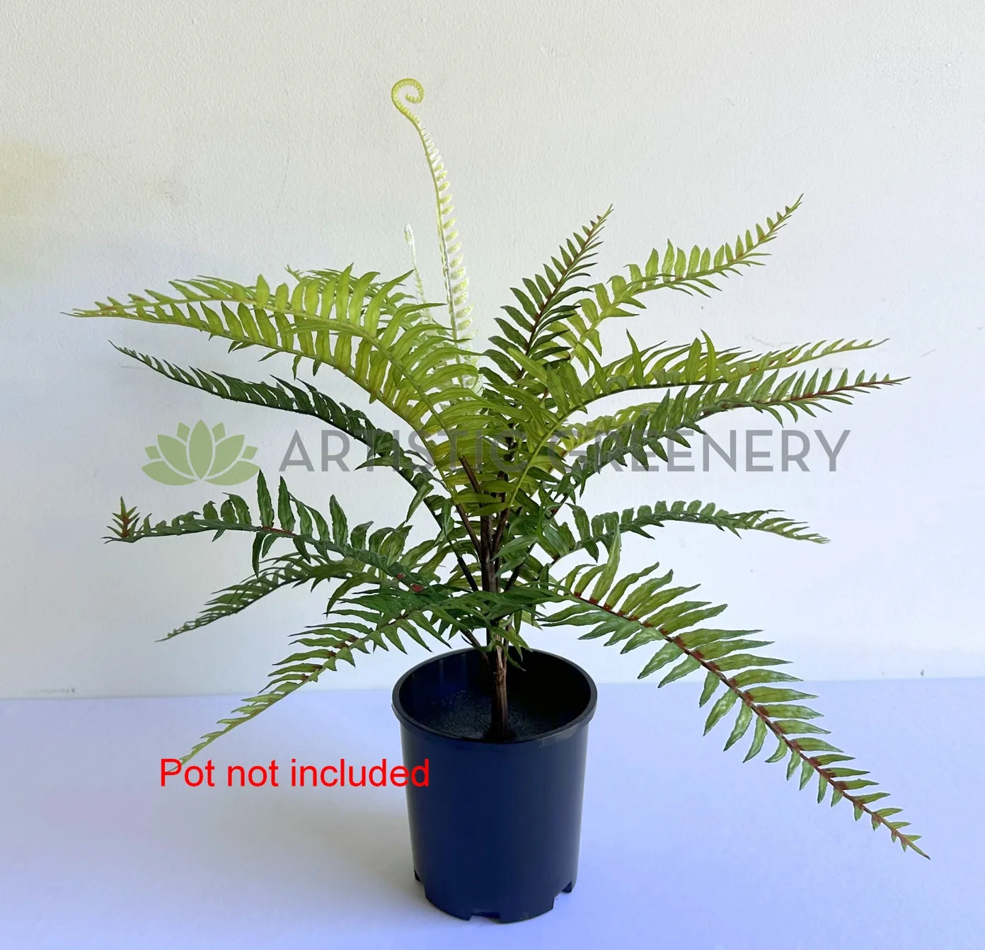 SP0386-S92 Boston Fern 46cm Real Touch Quality