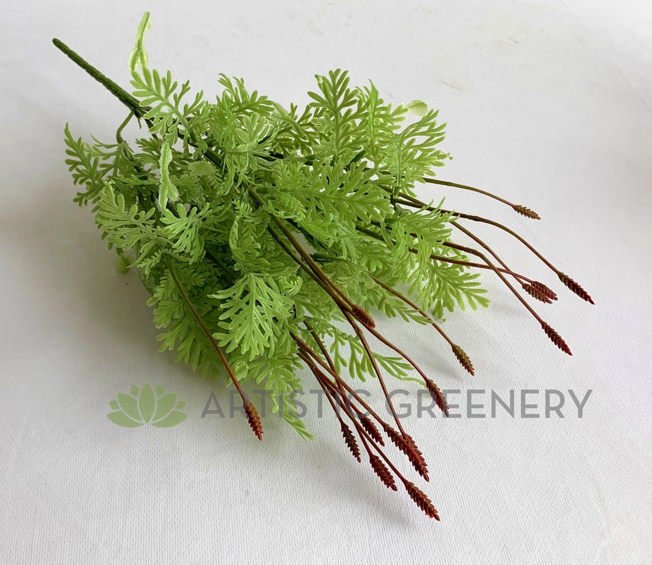 SP0392 Seeded Dusty Miller Plant 38cm