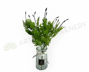 SP0392BLA Seeded Dusty Miller Plant 38cm Black Tips xl flower pot  