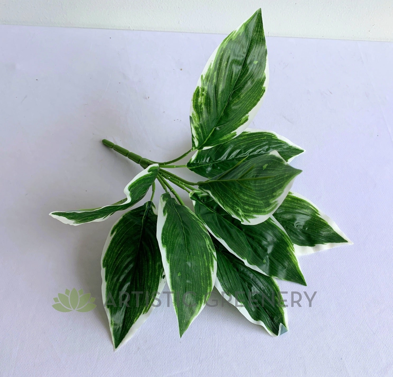 SP0394 Cast Iron Plant 32cm