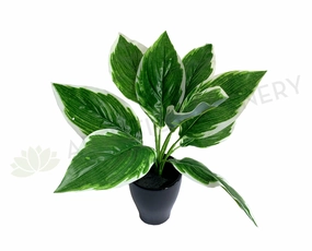 SP0394 Cast Iron Plant 32cm xl flower pot  