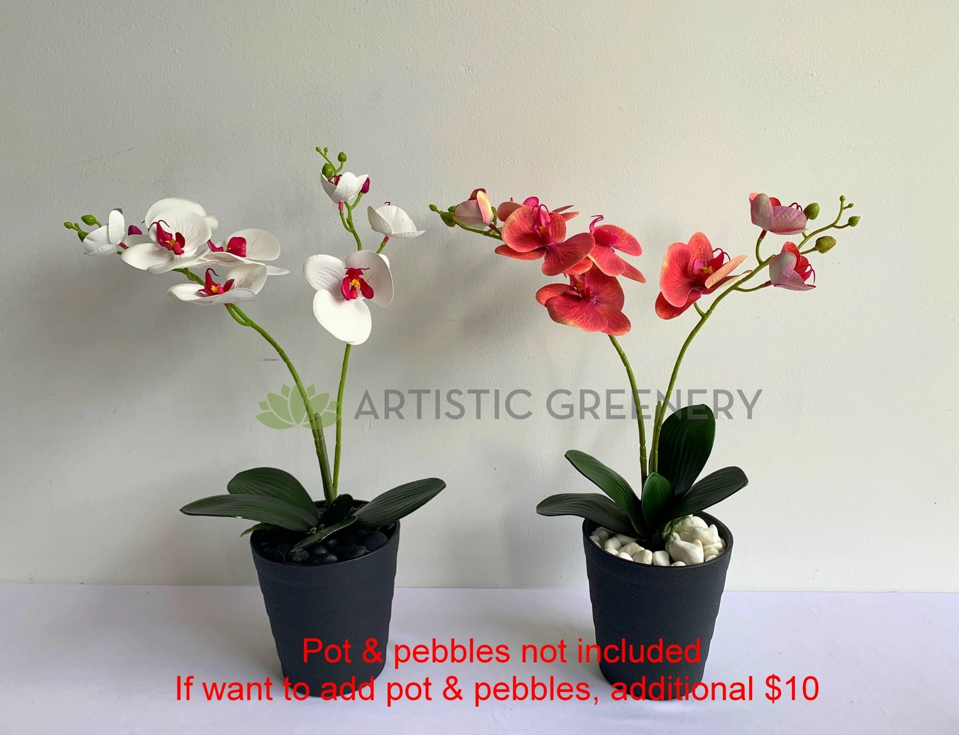 SP0400 Phalaenopsis Orchid with Leaves 54cm White / Pink