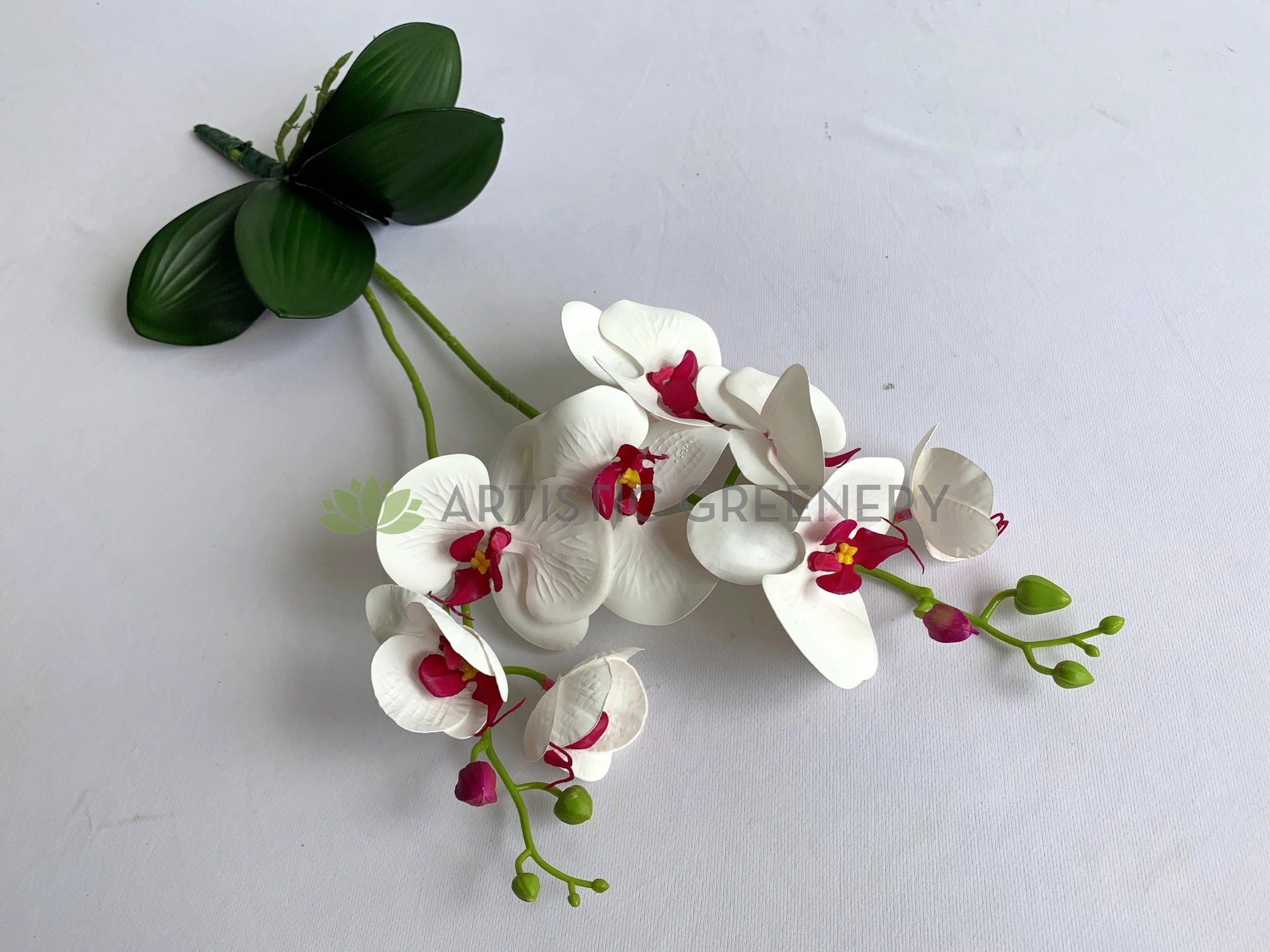 SP0400 Phalaenopsis Orchid with Leaves 54cm White / Pink