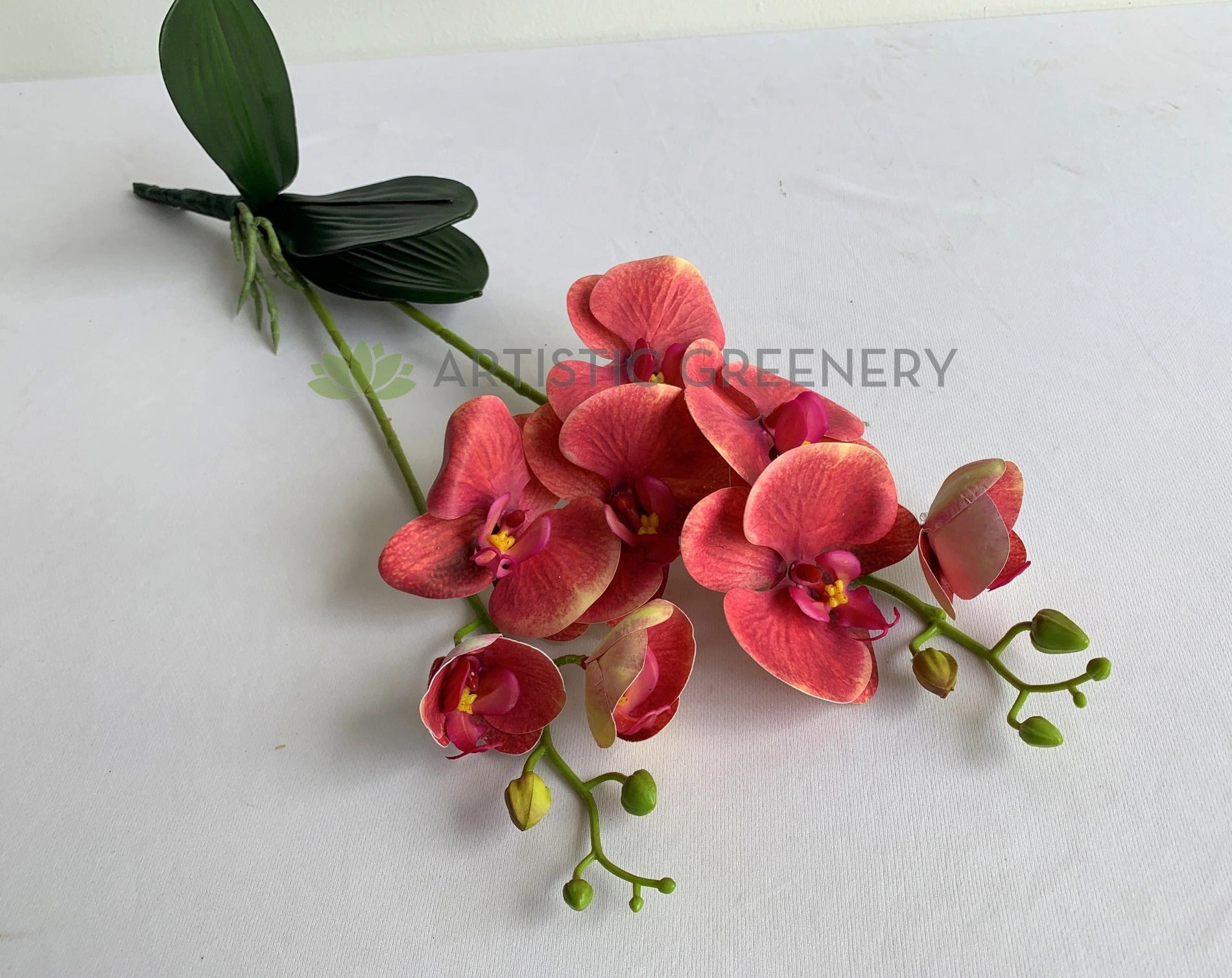 SP0400 Phalaenopsis Orchid with Leaves 54cm White / Pink