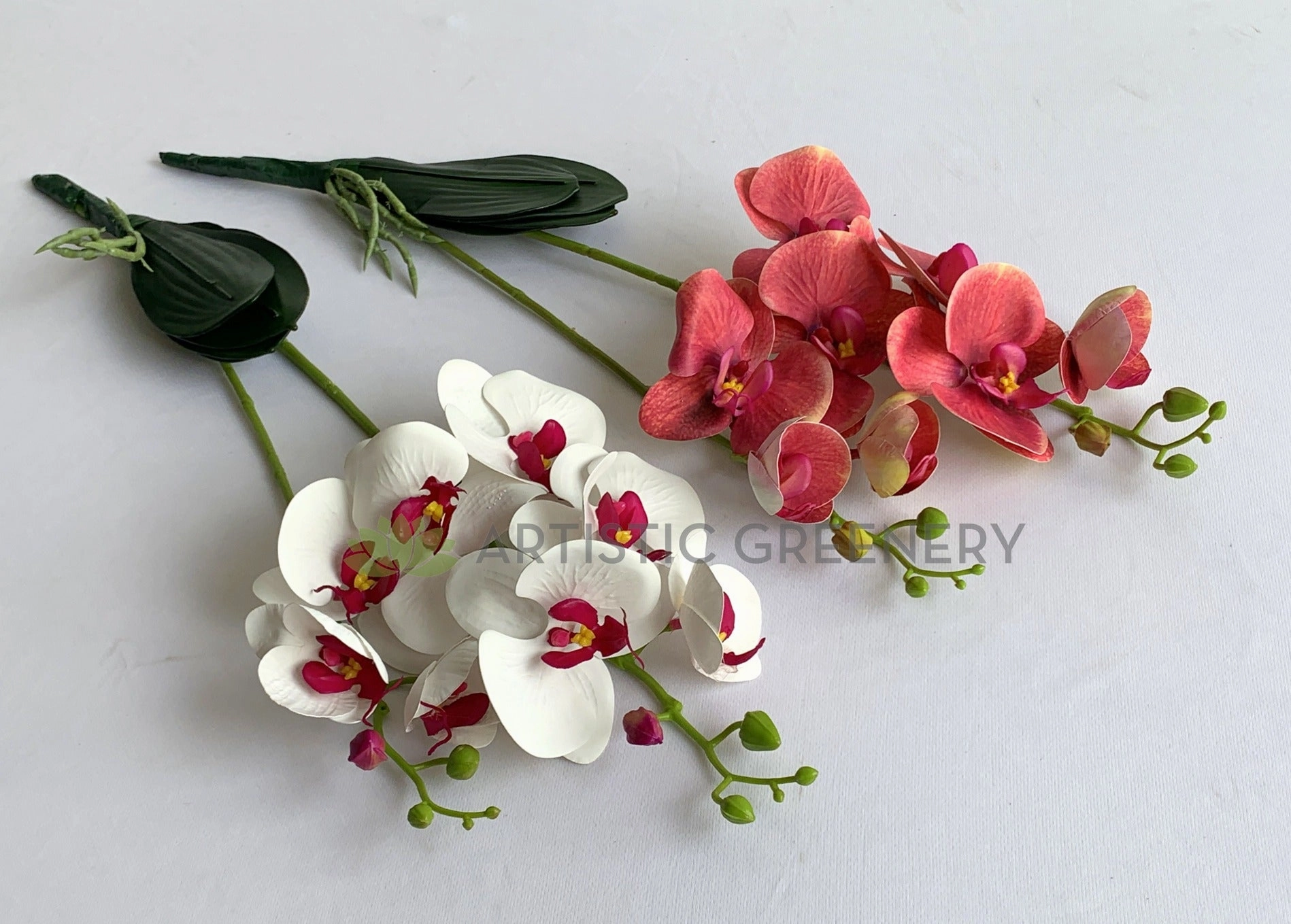 SP0400 Phalaenopsis Orchid with Leaves 54cm White / Pink