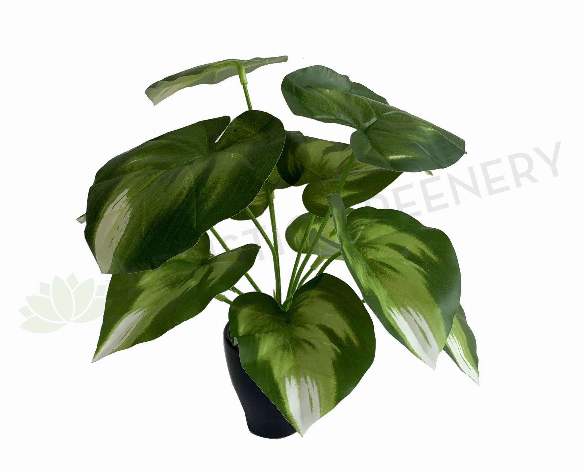 SP0402 Golden Pothos Plant 32cm indoor plant stand  