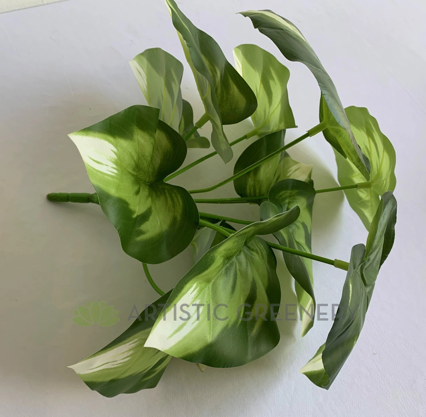 SP0402 Golden Pothos Plant 32cm