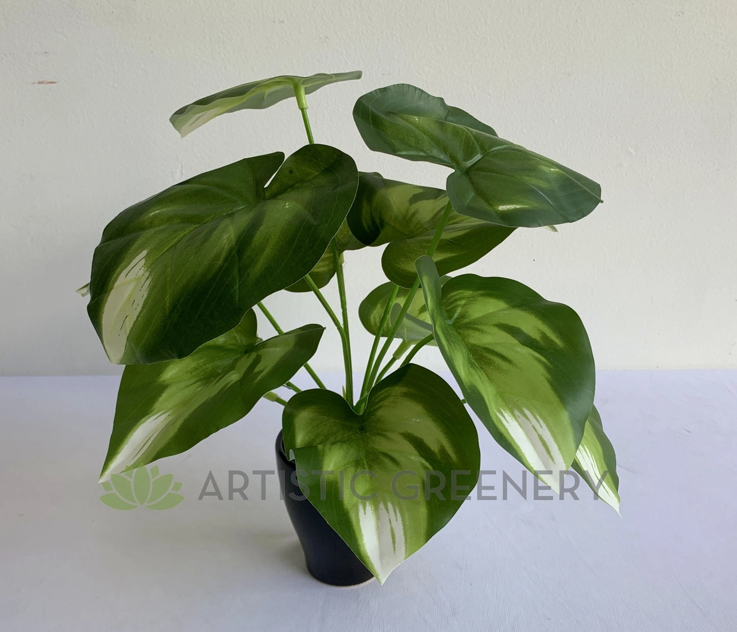 SP0402 Golden Pothos Plant 32cm