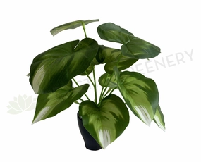 SP0402 Golden Pothos Plant 32cm indoor plant stand  