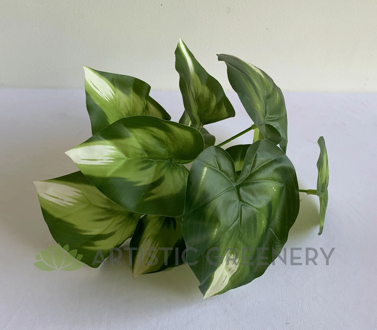SP0402 Golden Pothos Plant 32cm