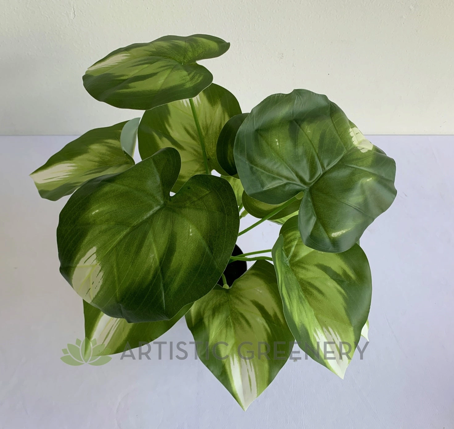 SP0402 Golden Pothos Plant 32cm