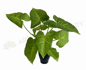 SP0403 Caladium Plant 32cm indoor plant stand  