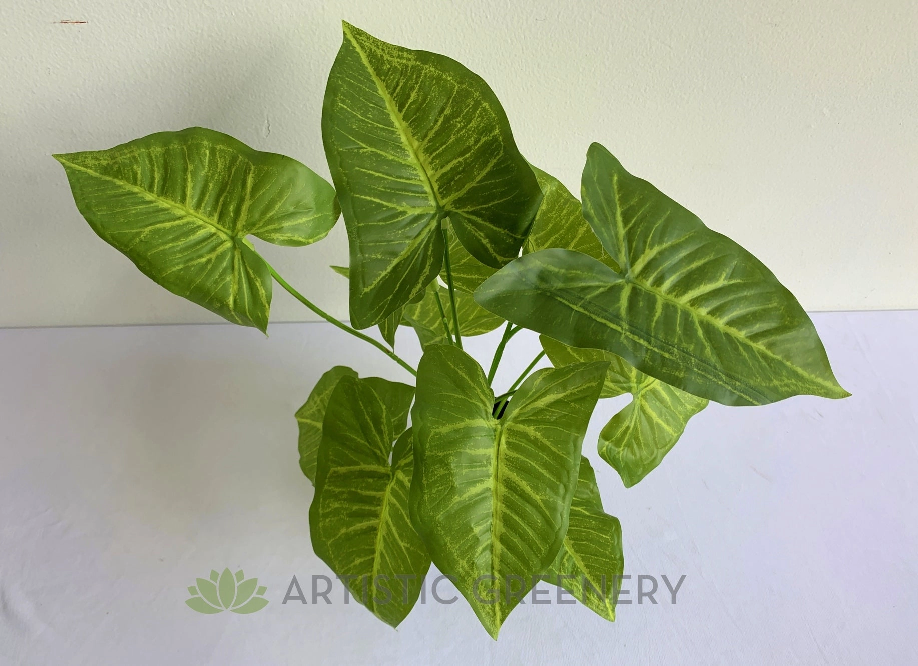 SP0403 Caladium Plant 32cm