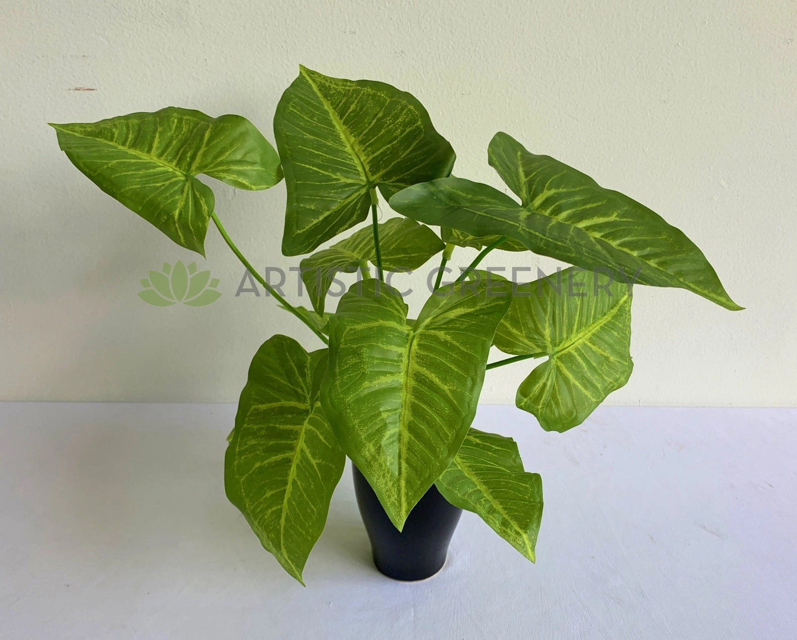 SP0403 Caladium Plant 32cm