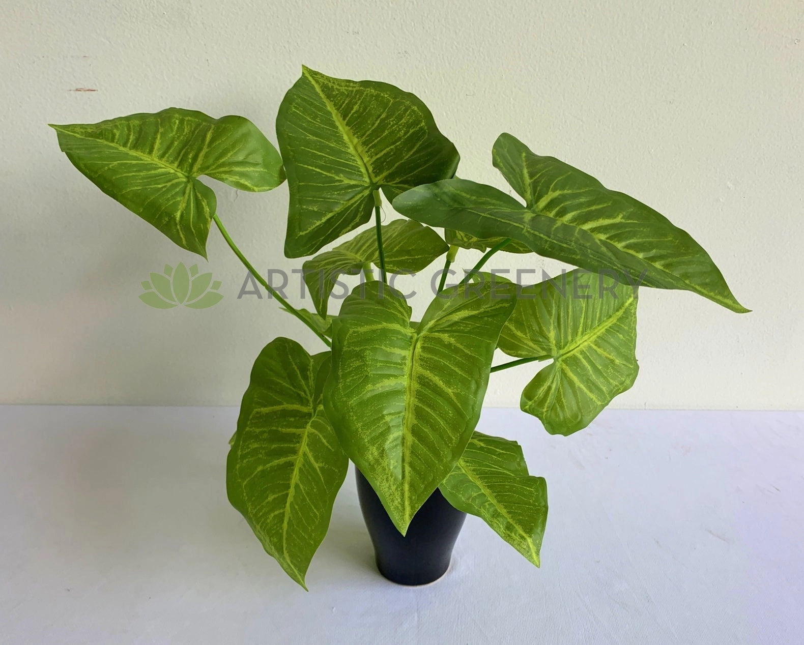 SP0403 Caladium Plant 32cm