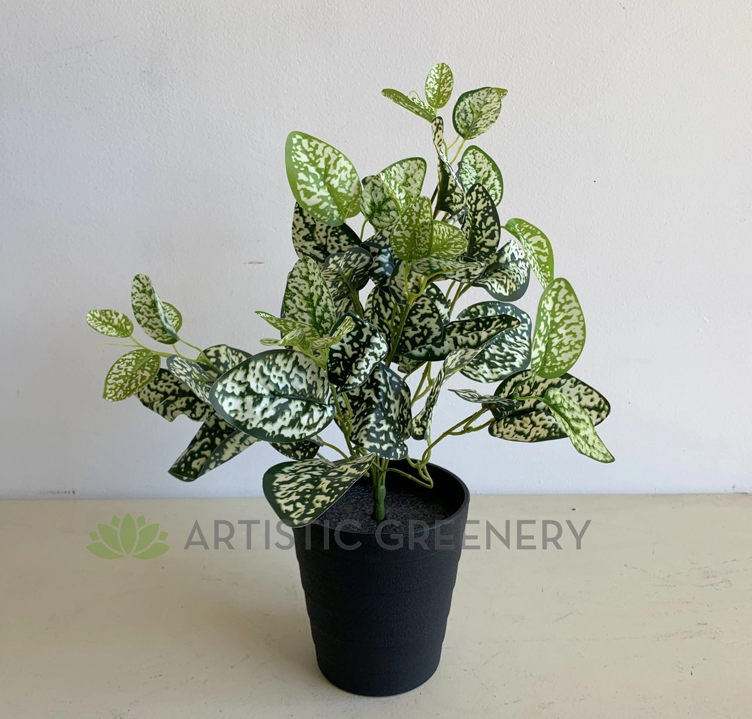 SP0407 Polka Dot Plant 43cm