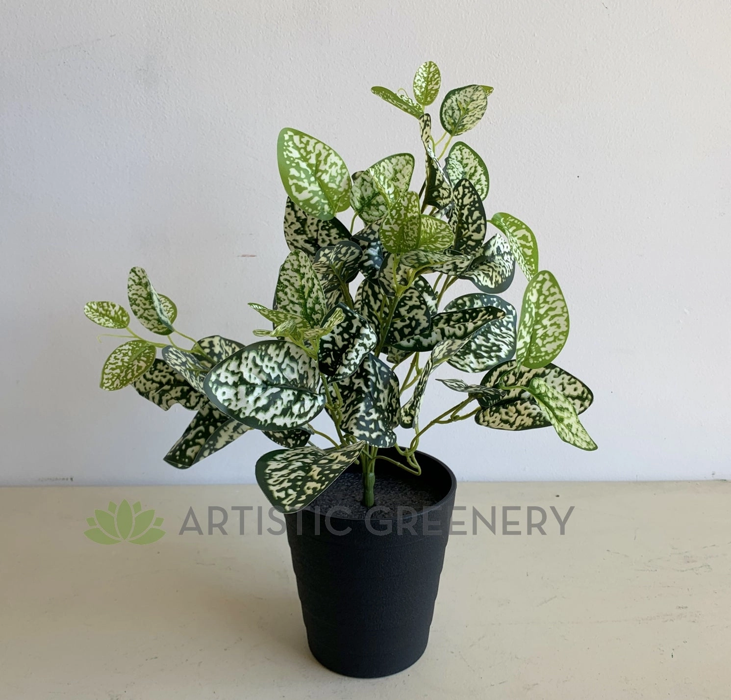 SP0407 Polka Dot Plant 43cm