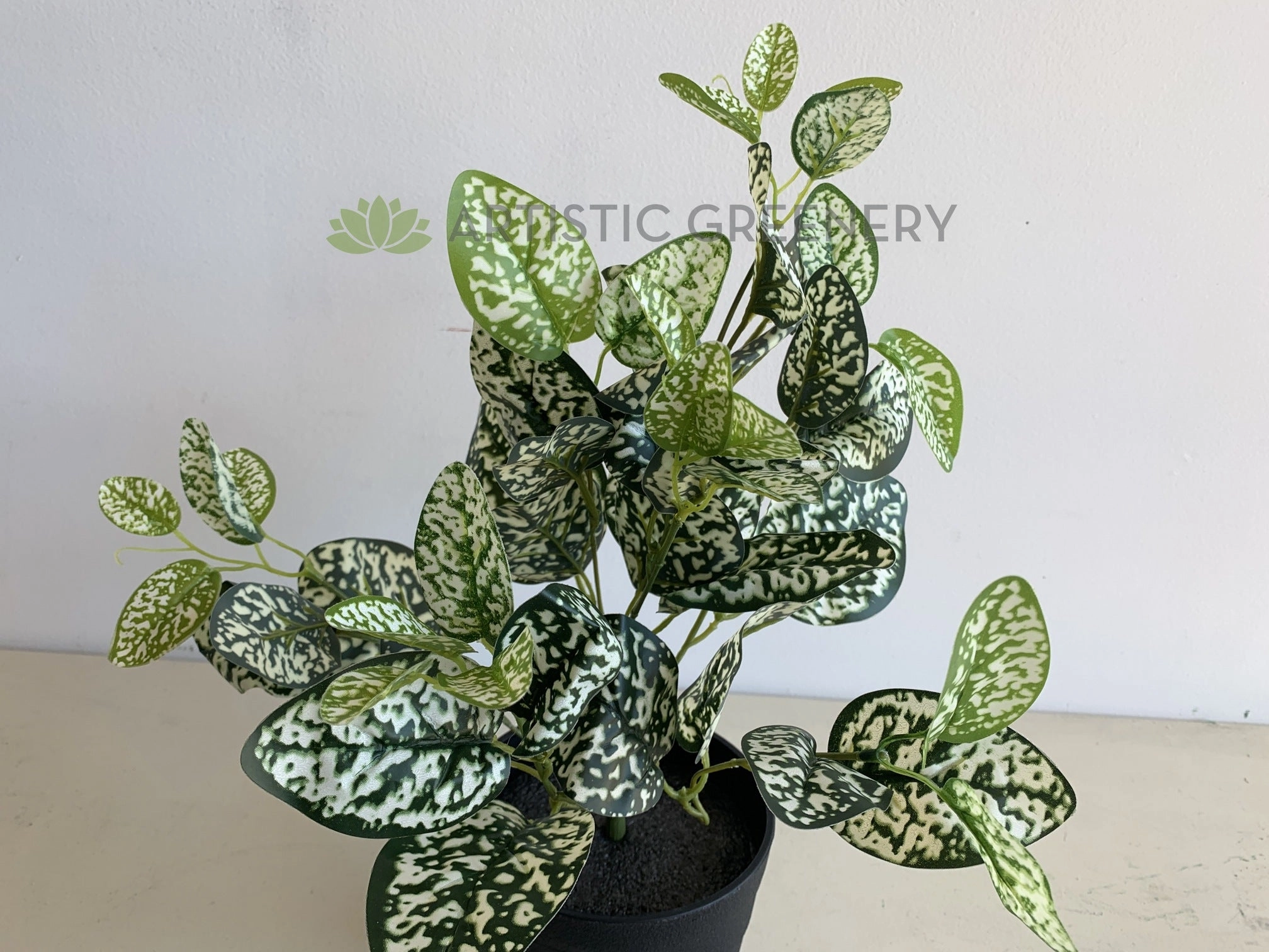 SP0407 Polka Dot Plant 43cm