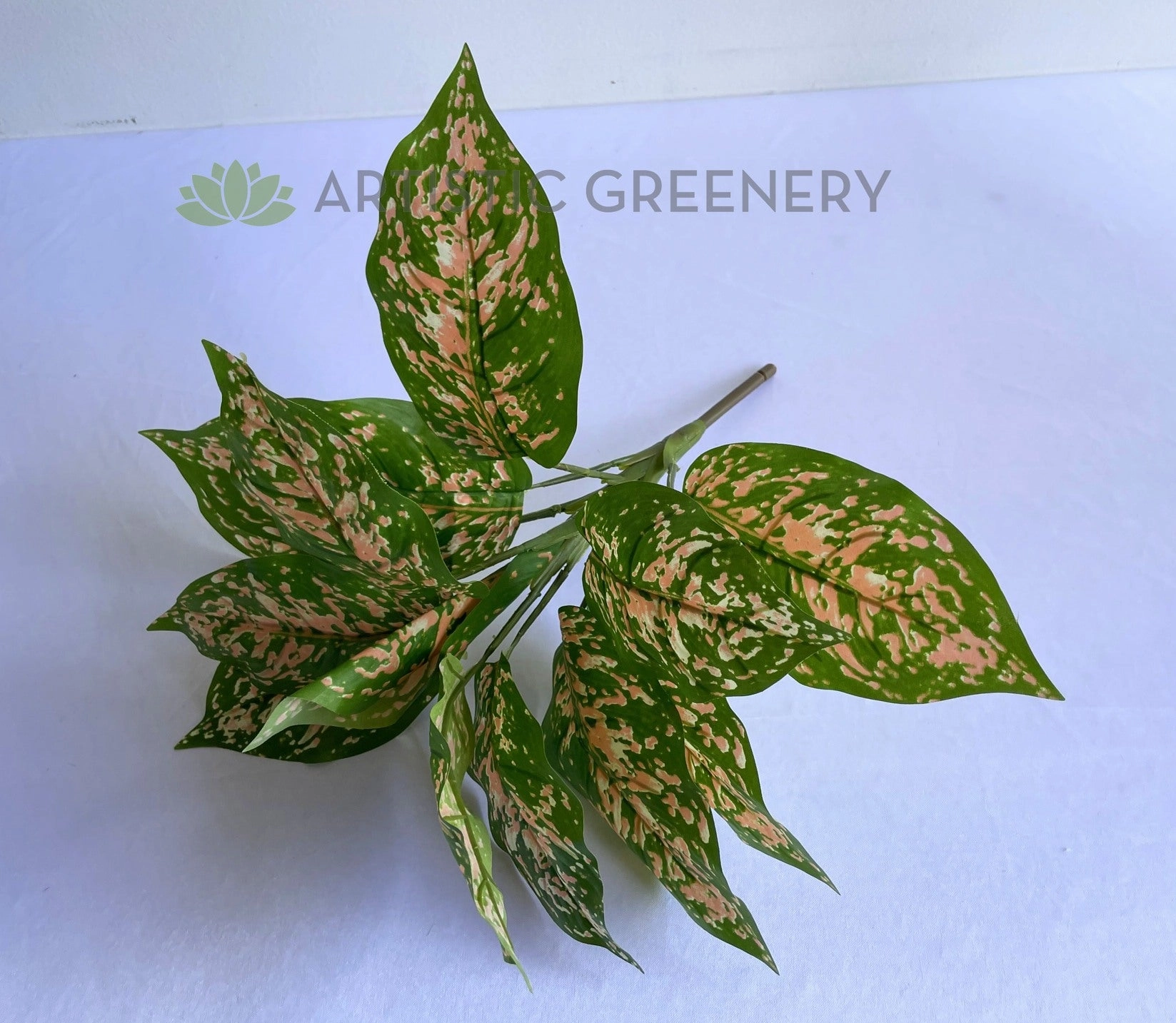 SP0410 Red Dieff. Plant 39cm