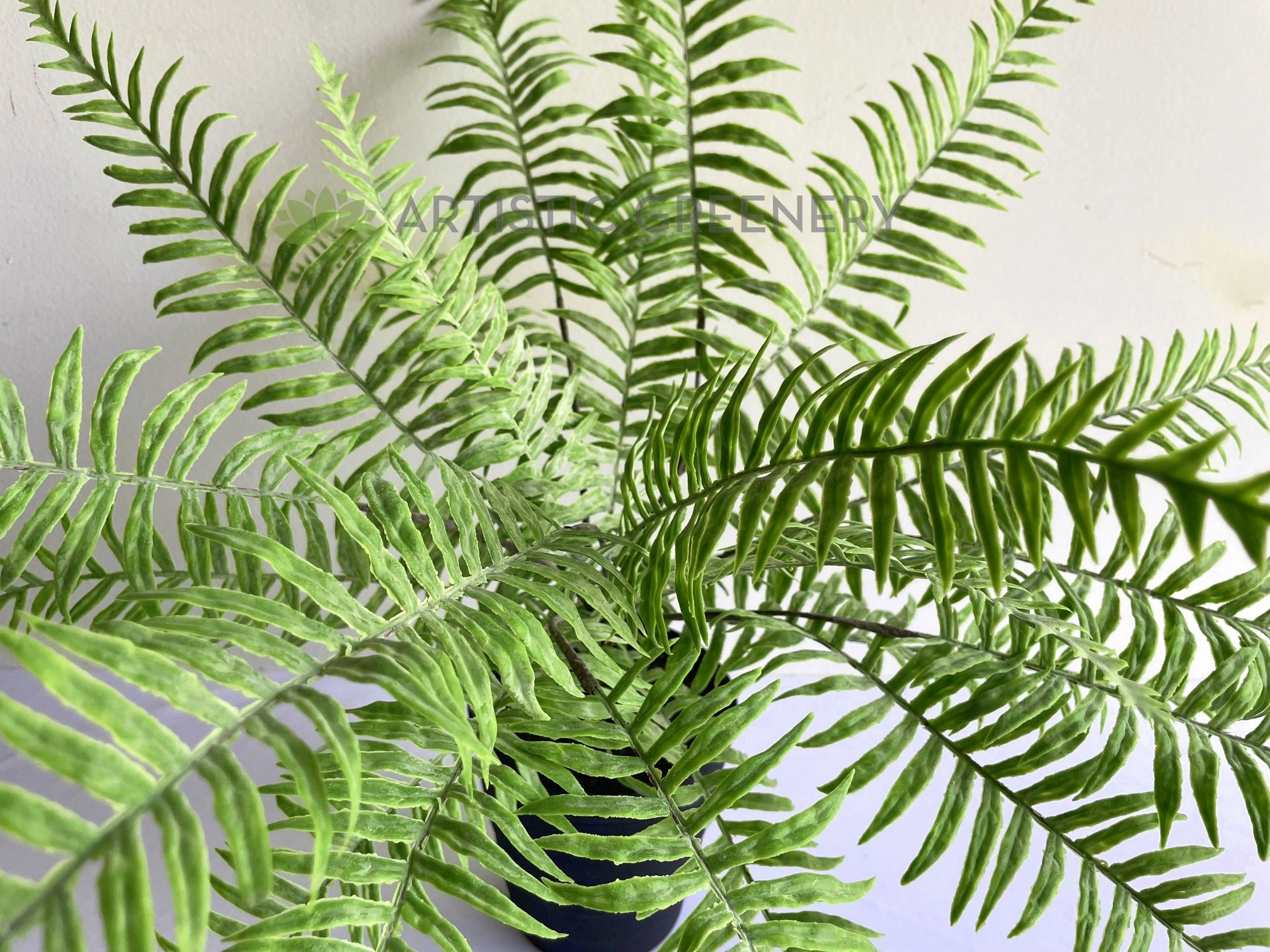 SP0414 Large Fern Bunch 56cm Real Touch Quality