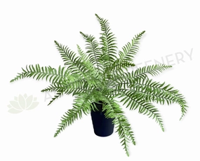 SP0414 Large Fern Bunch 56cm Real Touch Quality summer vegetable seed  
