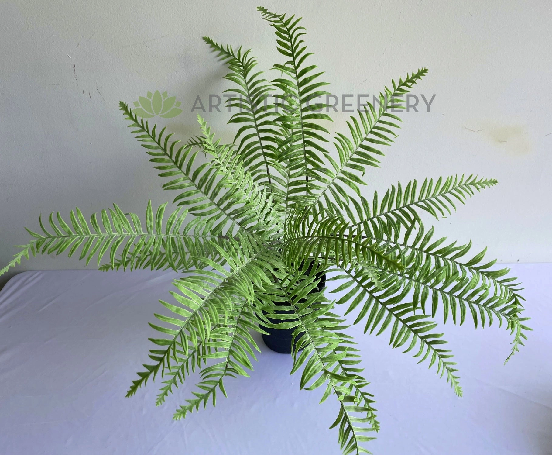 SP0414 Large Fern Bunch 56cm Real Touch Quality