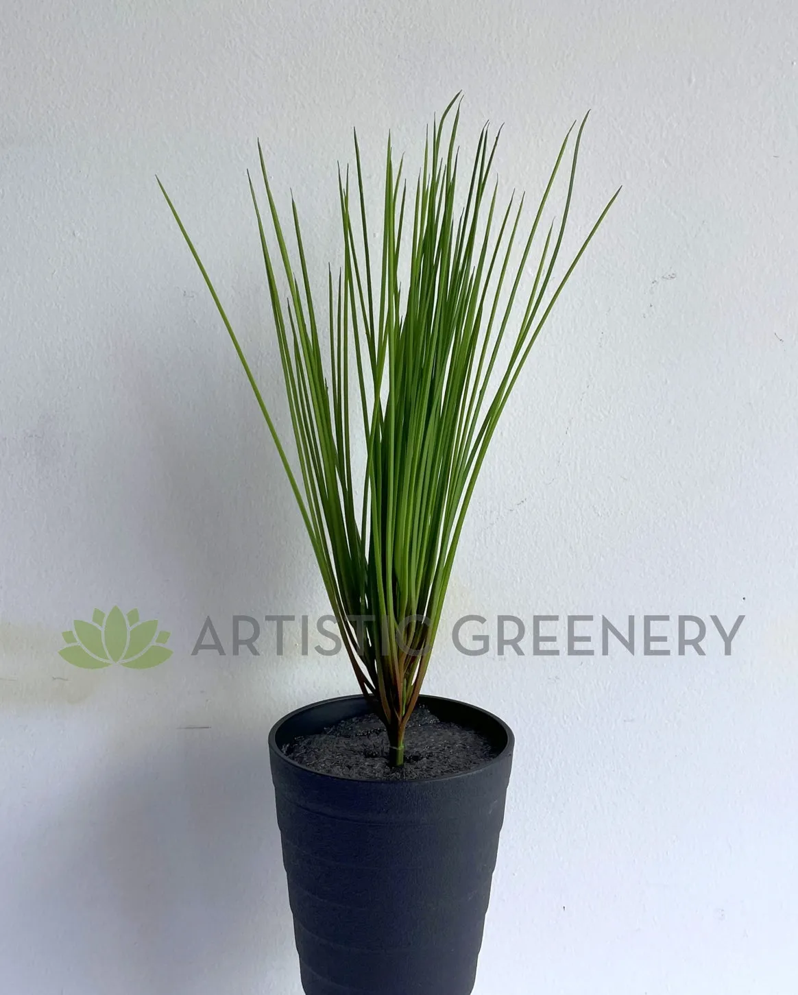 SP0416 Premium Monkey Grass Bunch 40cm