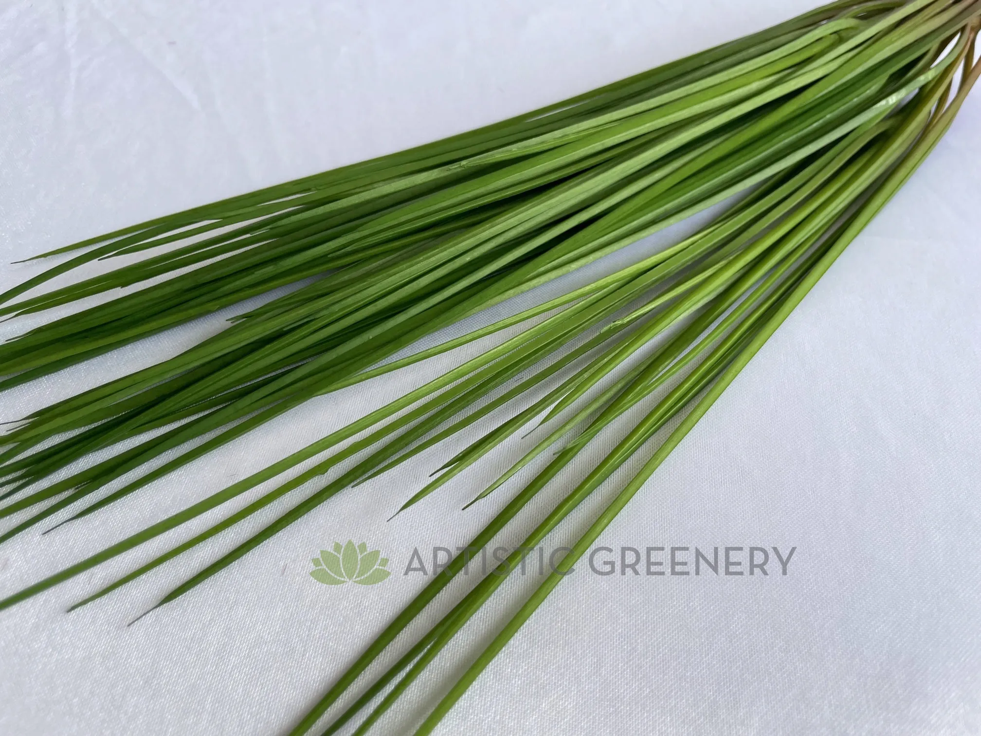 SP0416 Premium Monkey Grass Bunch 40cm