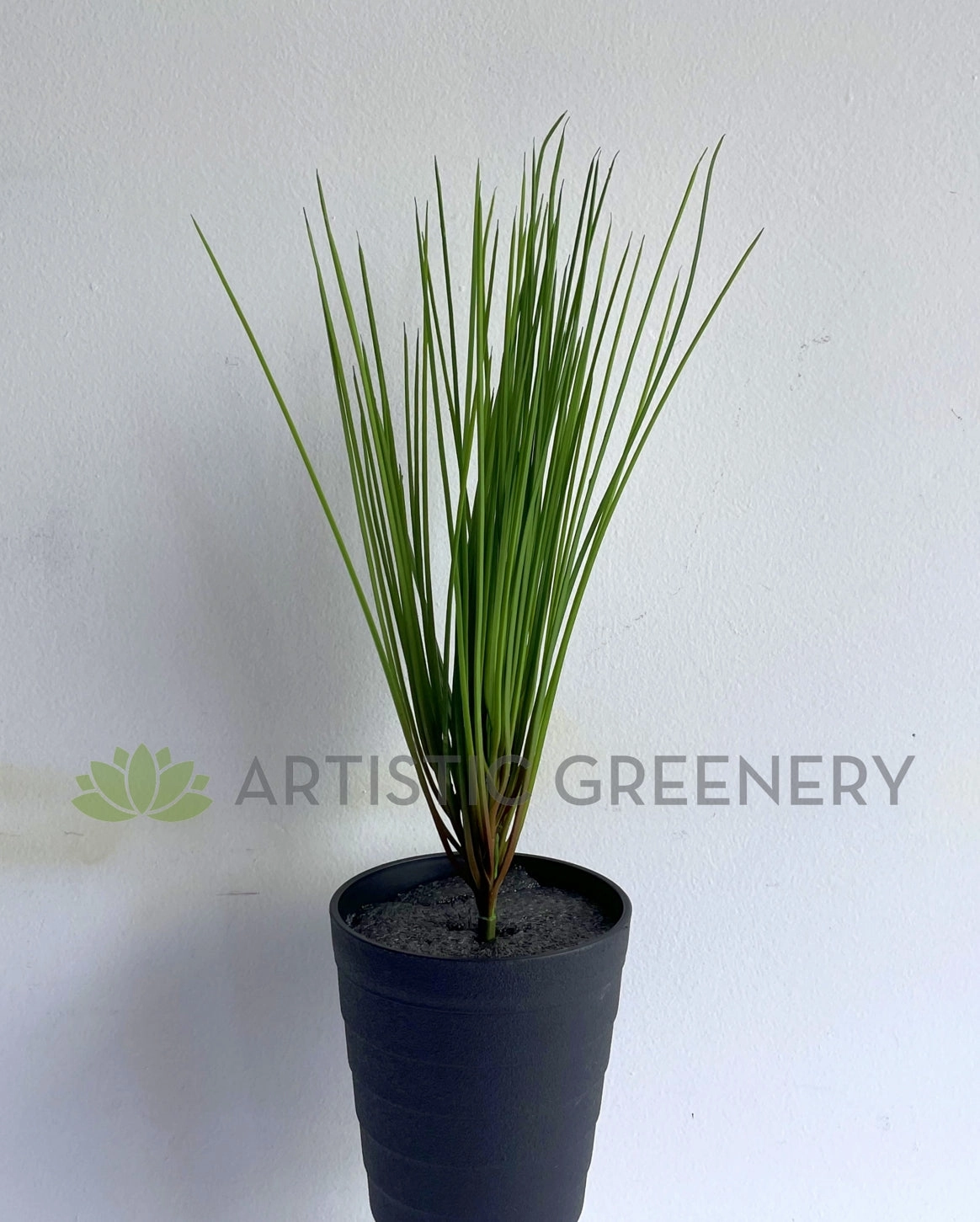 SP0416 Premium Monkey Grass Bunch 40cm