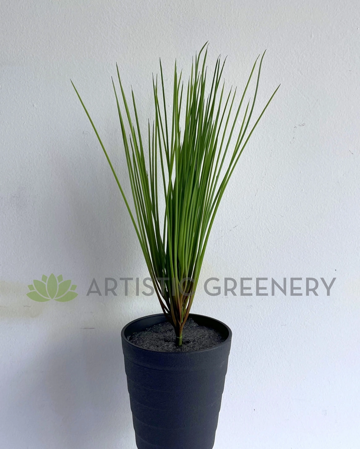 SP0416 Premium Monkey Grass Bunch 40cm