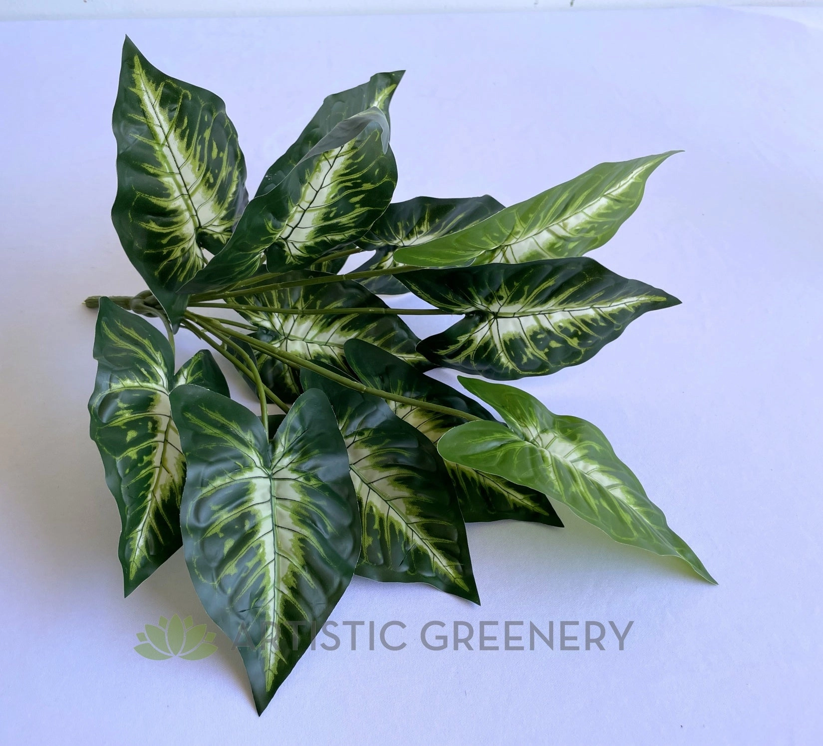 SP0421 Caladium Plant 38cm