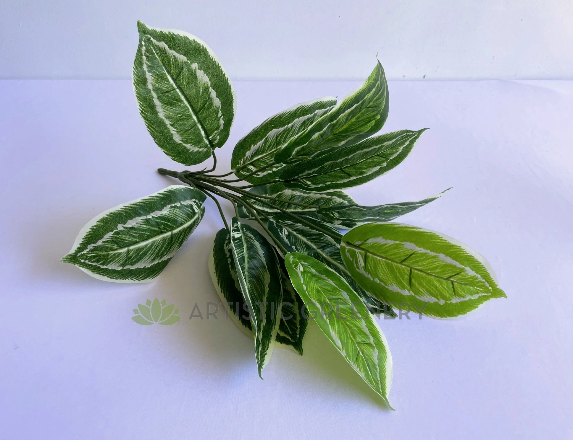 SP0422 Aglaonema / Chinese Evergreen Plant 42cm