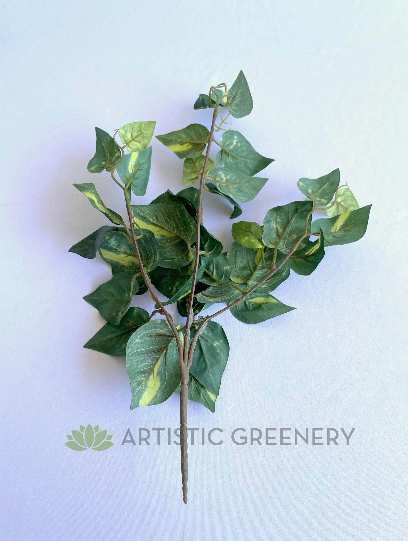 SP0423 Golden Pothos / Devil's Ivy Bunch 41cm