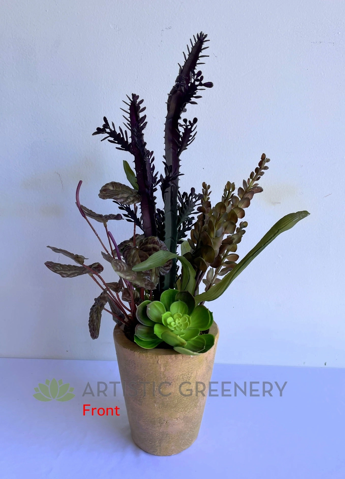SP0425 Potted Succulent / Euphorbia & Greenery 54cm (SPECIAL)