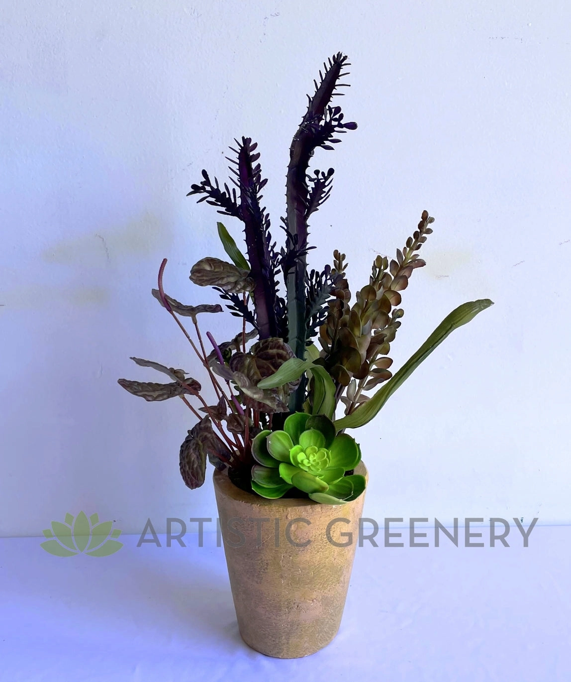 SP0425 Potted Succulent / Euphorbia & Greenery 54cm (SPECIAL)