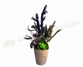 SP0425 Potted Succulent / Euphorbia & Greenery 54cm (SPECIAL) indoor plant stand  