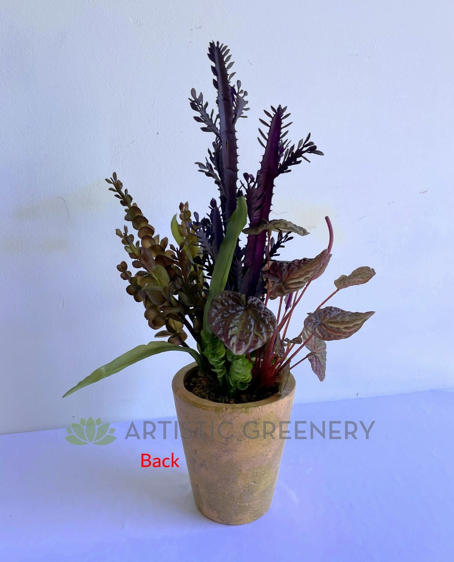 SP0425 Potted Succulent / Euphorbia & Greenery 54cm (SPECIAL)