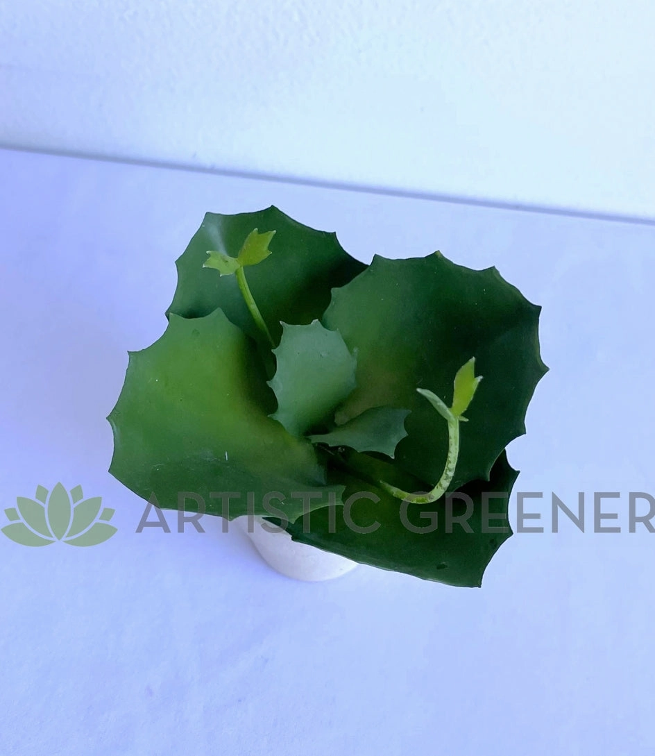 SP0426 Mini Potted Succulent 14cm