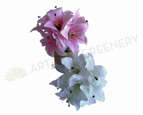 SP0428 Oriental / Tiger Lily Bouquet 28cm (6 Stems) White / Pink indoor houseplants  