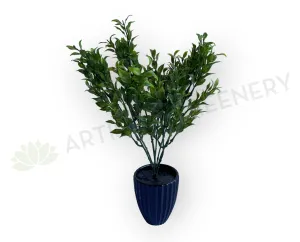 SP0430 Ruscus Bunch 39cm Green dried green plant  
