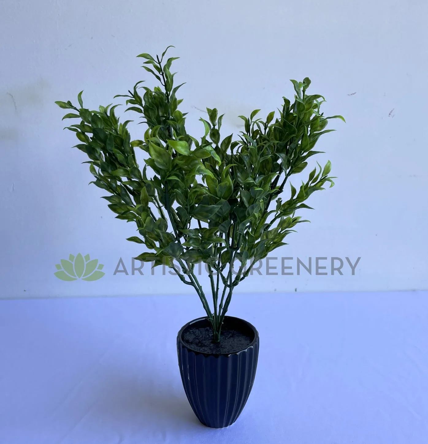 SP0430 Ruscus Bunch 39cm Green