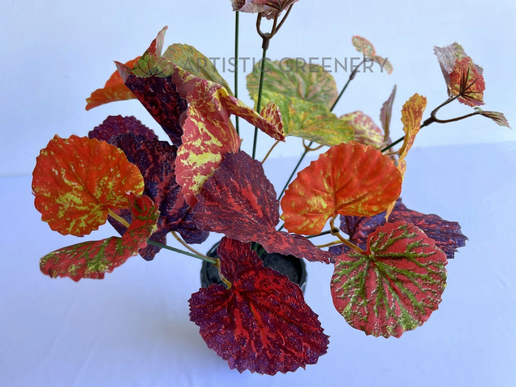 SP0432 Painted-leaf Begonia Bunch 32cm Orange